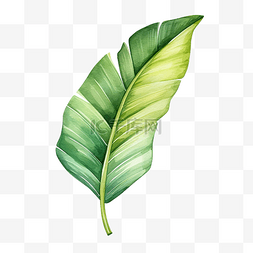 森林剪纸背景图片_剪纸香蕉叶简单水彩画