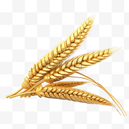 小麦背景图片_感恩节对象小麦 3d 插图