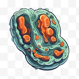 细菌细胞的线粒体剪贴画卡通食物