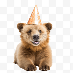 戴着生日帽的熊