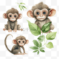 猴子玩具图片_水彩猴子剪贴画