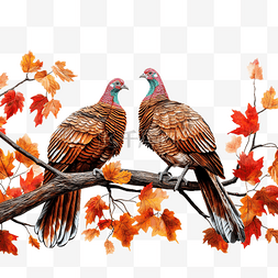 感谢卡海报图片_感恩节树枝上的火鸡鸟