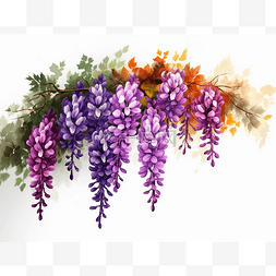 紫藤花长廊图片_出售矢量绘图的紫藤花