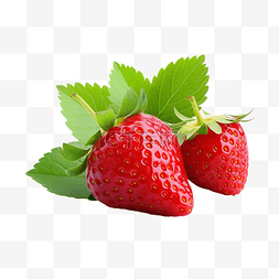绿叶背景绿叶背景图片_白色背景绿叶的大新鲜成熟红草莓