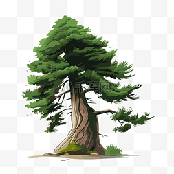 一棵大树的免费松树剪贴画卡通插