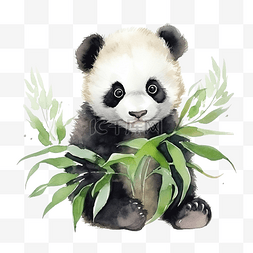 可爱的熊猫水彩画