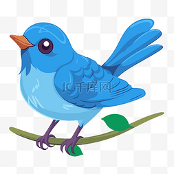 蓝鸟剪贴画卡通蓝鸟坐在树枝上 