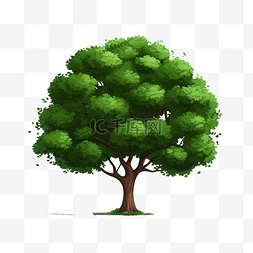 生态绿化图片_单个绿色圆形树平面对象png