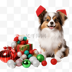 狗狗玩具图片_小有趣可爱的狗与圣诞玩具