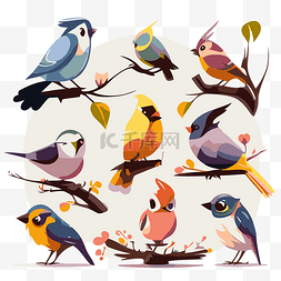 aves剪贴画树枝上的各种高清鸟插