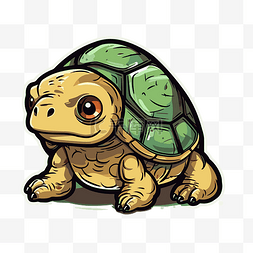乌龟设计矢量卡通乌龟乌龟