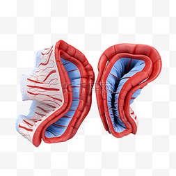 足球百倍图片_3d 渲染折叠的黎加冒号笔记隔离