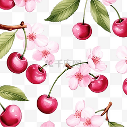 樱桃图案水彩插图