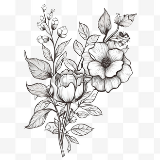 花卉线条艺术插图 png