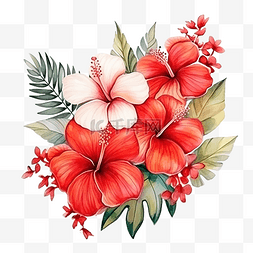 棕红色图片_水彩红色夏季热带花卉木槿和鸡蛋