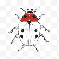 抽象动物素描图片_用一张连续的线条草图绘制瓢虫
