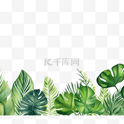 绿色热带树叶和植物水彩插图的无