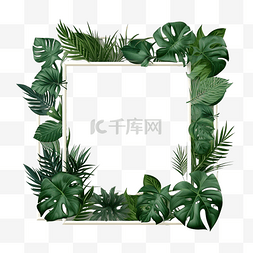 格形图片_以植物叶子装饰的窗户形式的框架