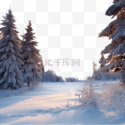 仙境树图片_日落时的冬雪森林