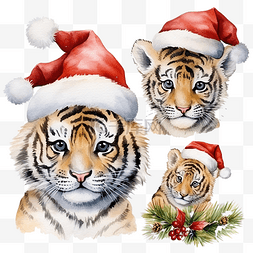 小老虎图片_水彩画圣诞节套装，配有老虎和节