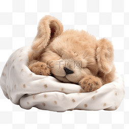 玩具小兔子的孩子图片_幼稚的泰迪兔睡觉