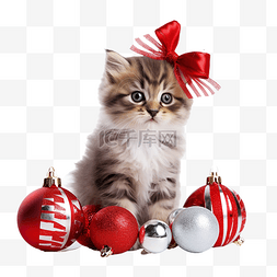 假期的小尾巴图片_白色表面上有圣诞装饰品的小猫