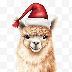 圣诞快乐插画，可爱的羊驼戴着圣