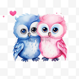 蓝色和粉色水彩可爱猫头鹰情侣情