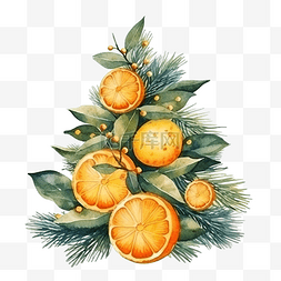 圣诞水彩画与枞树和橙子