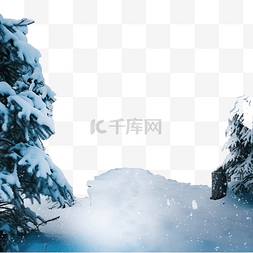 冰树枝图片_有雪冷杉树枝的冬天多雪的森林