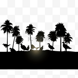 巴西剪影图片_基于我的摄影的黑秃鹫鸟群的剪影