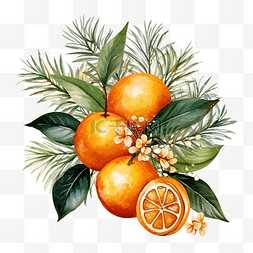 小清新年卡图片_圣诞水彩橙子和冬季植物卡