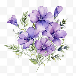 水彩紫色蓝色图片_紫罗兰花水彩