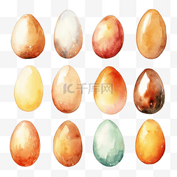 水彩农场鸡蛋