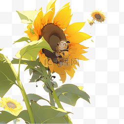 向日葵和花图片_向日葵和蜜蜂