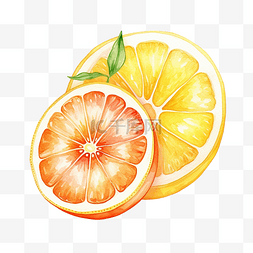 橘子剥图片_橘子和柠檬楔水彩插图