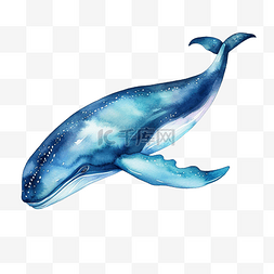 水彩鲸鱼剪贴画