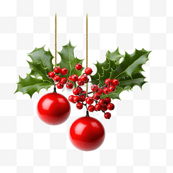 红金光图片_节日圣诞树枝与冬青浆果