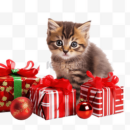 小猫与圣诞装饰品隔离在白色