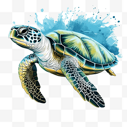 海龜图片_海龟水色png插图海洋动物