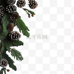 木板黑图片_深色木板上的圣诞树枝，靠着灰色