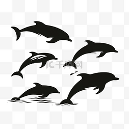 水池游泳图片_背景中孤立的海洋中跳跃的海豚的