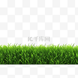 绿色农业边框图片_明亮的绿色草边框隔离 3D 渲染插