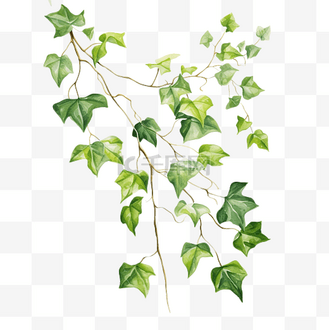 藤蔓花纹材料企业vip免费下载免抠元素植物概念以轮廓平面和简单图标