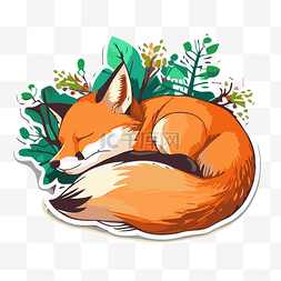 贴纸上有一只橙色狐狸睡在绿叶背