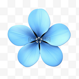 潮人眼镜图片_蓝色简单的花
