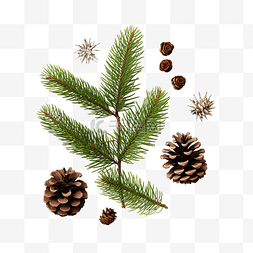 目录星石图片_带有冷杉树枝和自然装饰的圣诞组