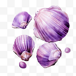 草地油画图片_可爱的紫色贝壳文具贴纸油画