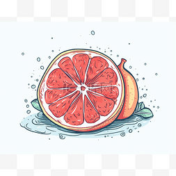 葡萄柚插画图片_葡萄柚在水中的矢量手绘插画