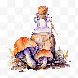 毒蘑菇手绘图片_水彩插图与一瓶药水护身符蘑菇巫